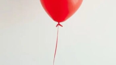 Vollständiger Leitfaden und Rückblick 2026 35 le petit ballon