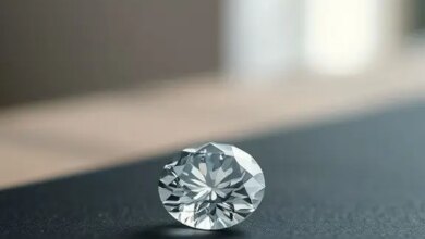 eine Bereicherung für morgen 2026 10 my first diamond